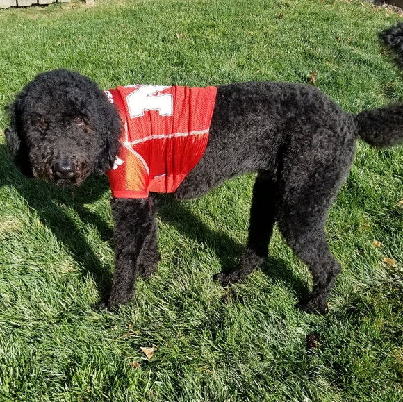 Meet your Posher, Heather - Picture 2 of 3